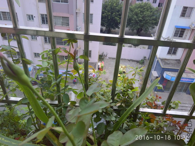 IMG_20161018_103648_HDR.jpg