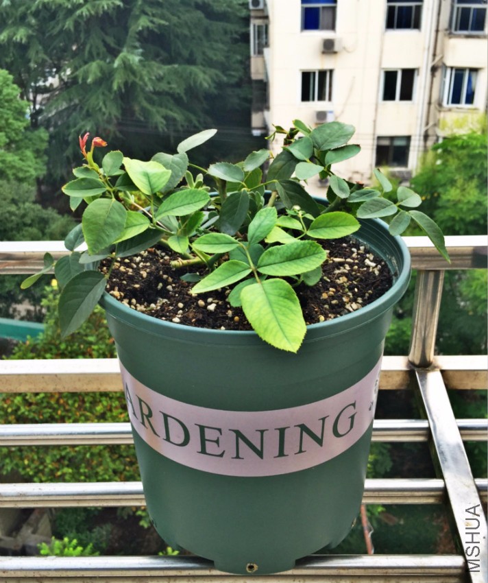 2016-09-08 155416.jpg