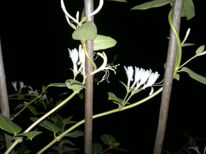 201610184704.jpg