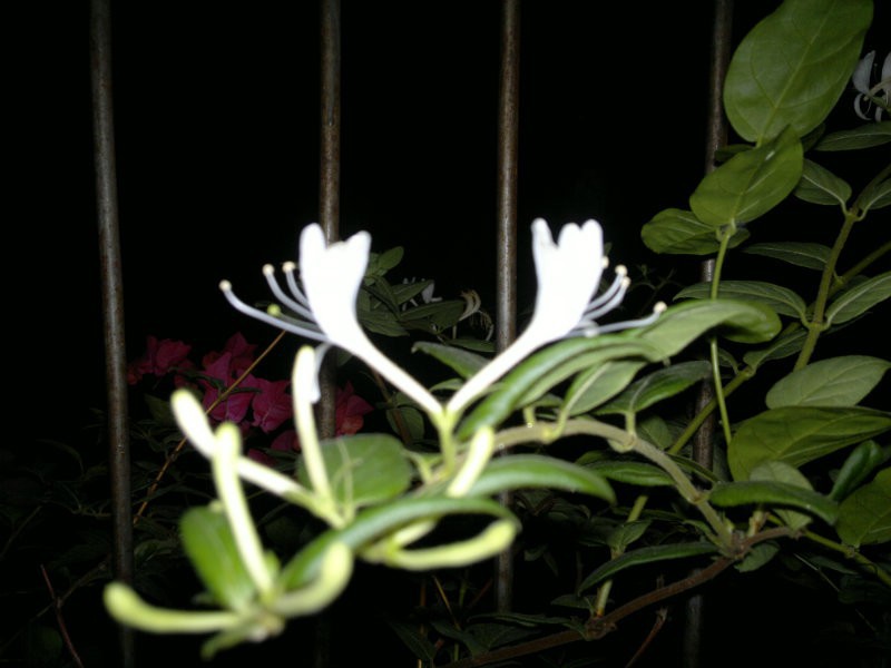 201610184705.jpg