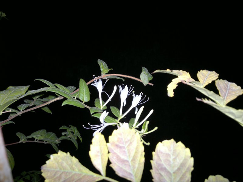 201610184713.jpg