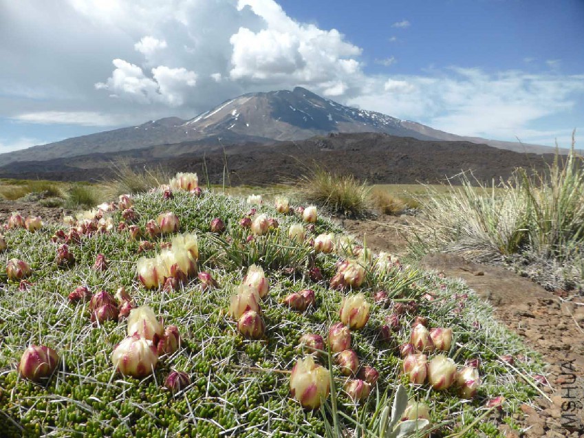 sizedUntitled artwork 2013-12-13 (16_51_47-637)30279.jpg