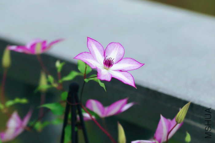 1 038_������С.jpg