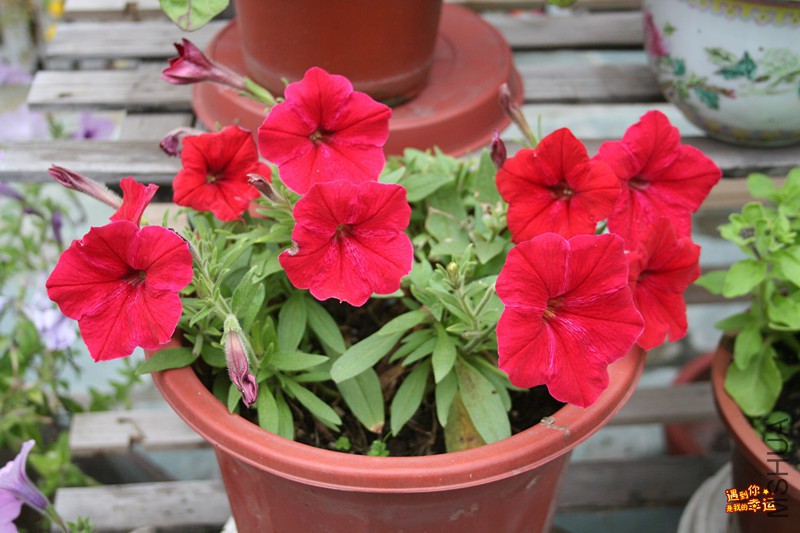 ��Ƭ 013_����.jpg