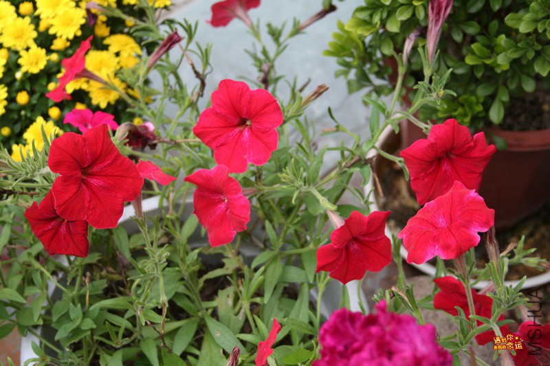 ��Ƭ 014_����.jpg