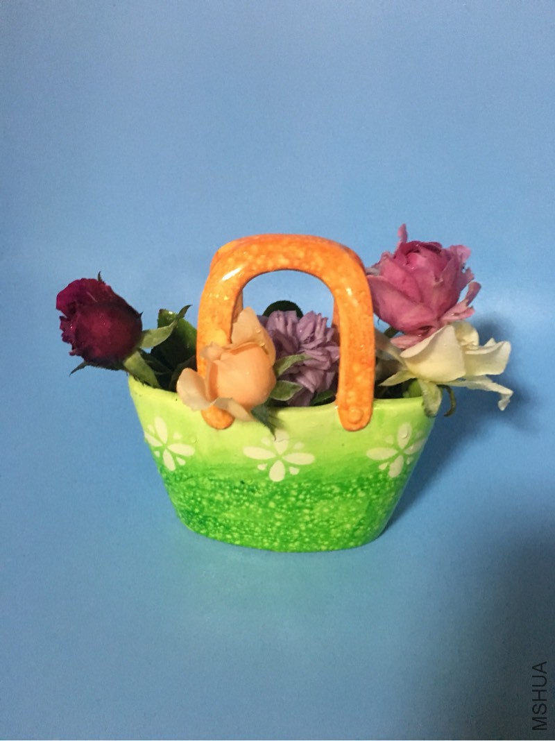 190242kq5ii7bqs65h7x6a.jpg