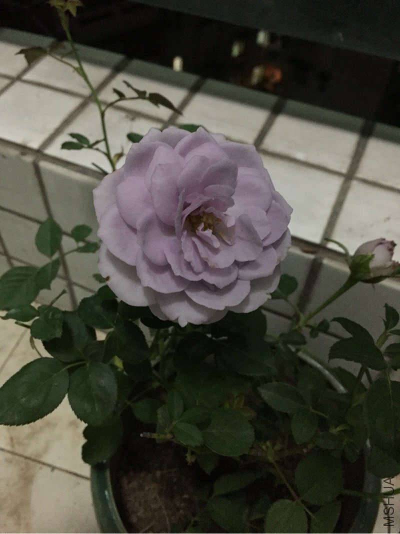 190512usdf2tfojfaoajz2.jpg