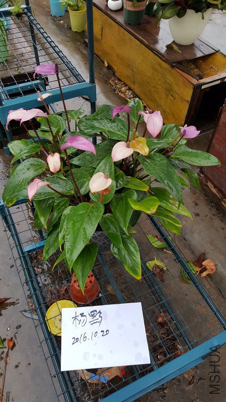20161020_172259.jpg