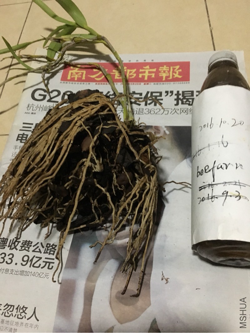 234851mrcnr4lk1w9r9kln.jpg