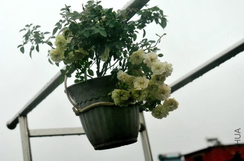 psb (9).jpg
