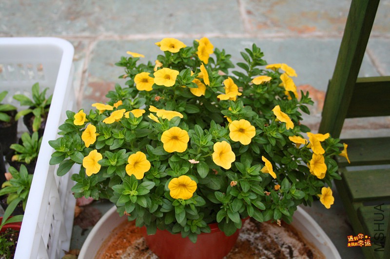 ��Ƭ 048_����.jpg