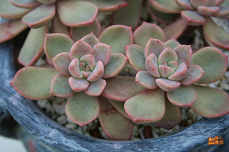 ��Ƭ 070_����.jpg