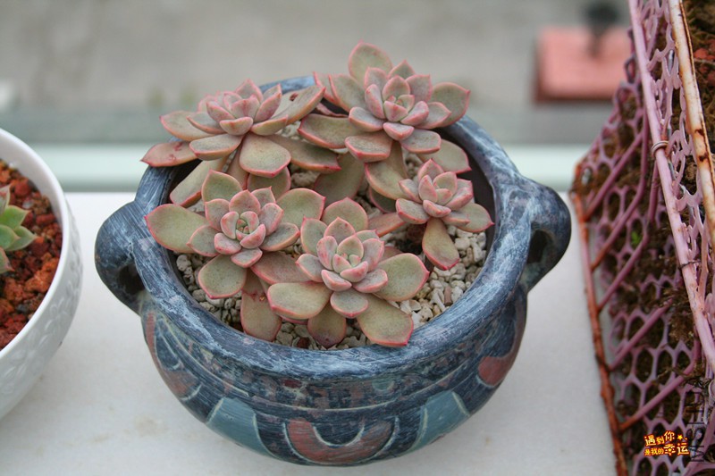 ��Ƭ 068_����.jpg