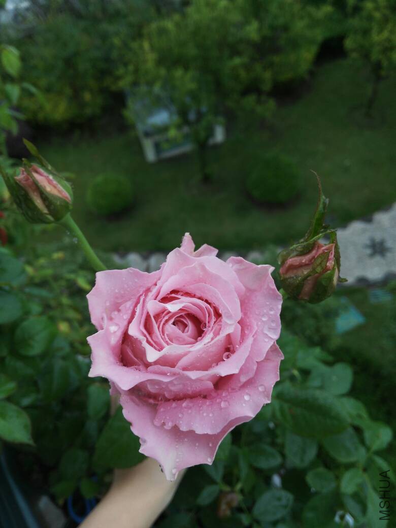190821l06q8ch3b65zj803.jpg