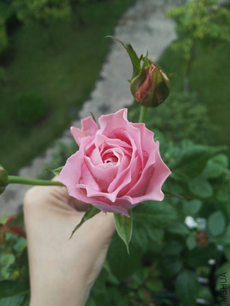 190822dzrbeb3tkxtvexlt.jpg