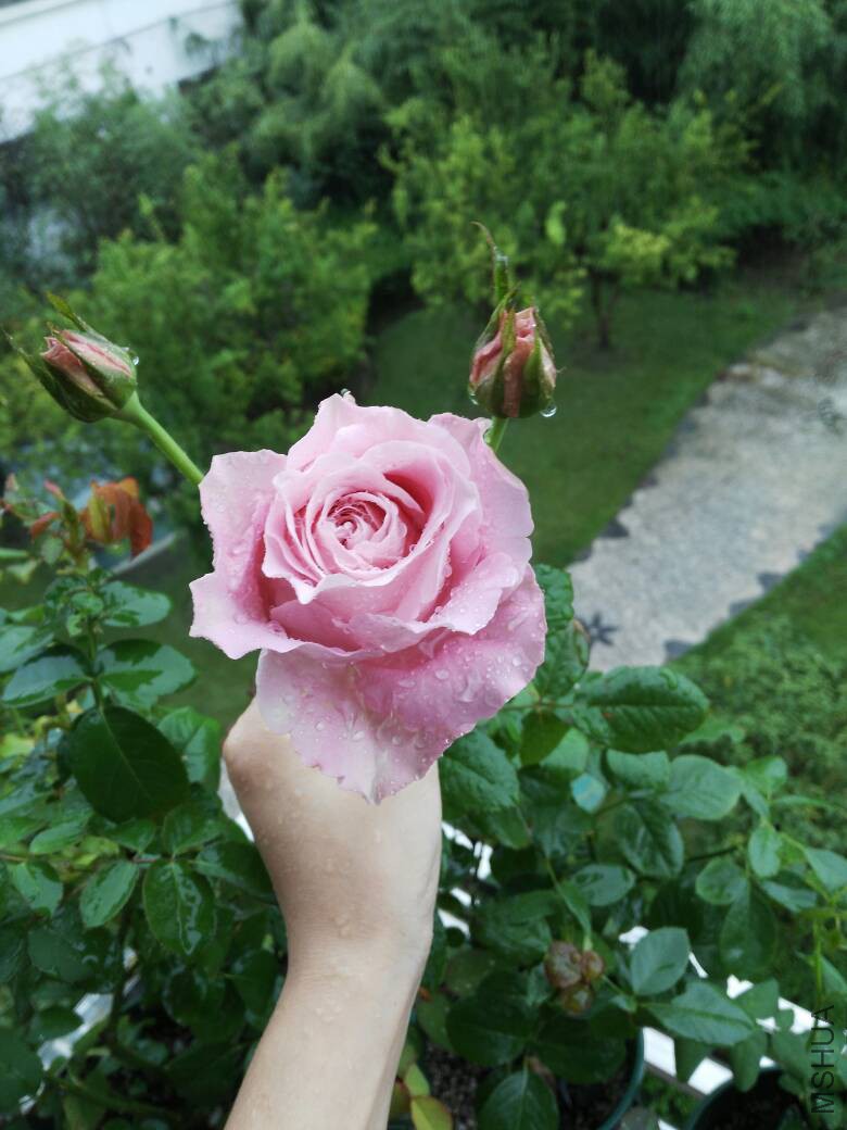 190822kokgdjscaagncinf.jpg
