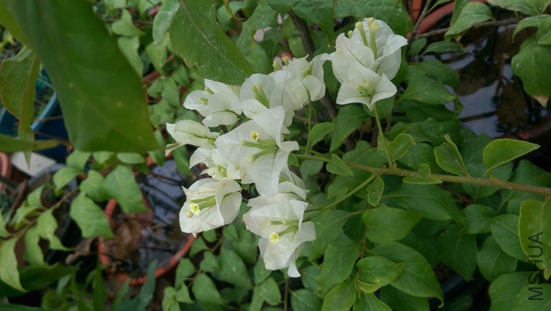 IMAG0190.jpg
