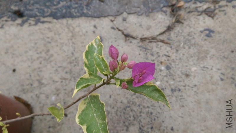 IMAG0197.jpg