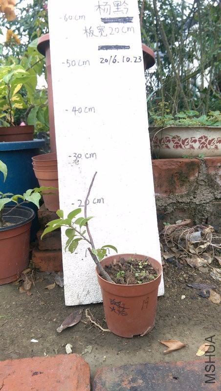 IMAG0215.jpg