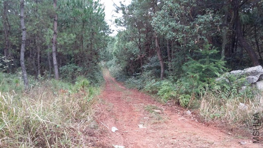 ���� ���� ����.jpg