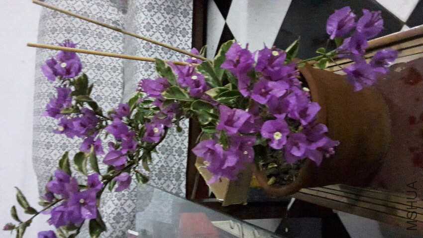 20161023_094545.jpg
