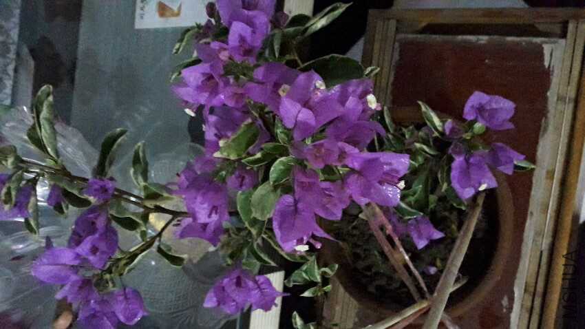 20161023_094356.jpg