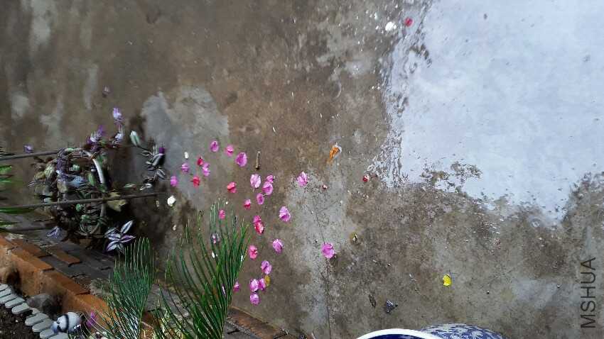 20161023_092147.jpg