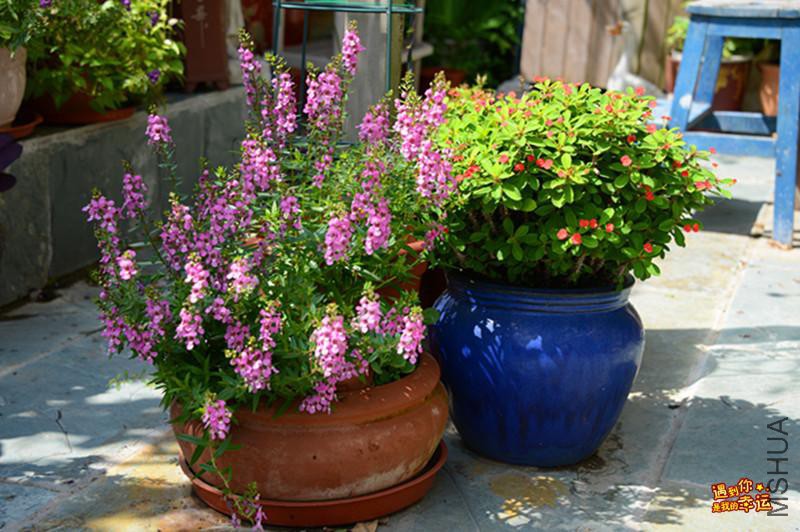 ��Ƭ 029_����.jpg