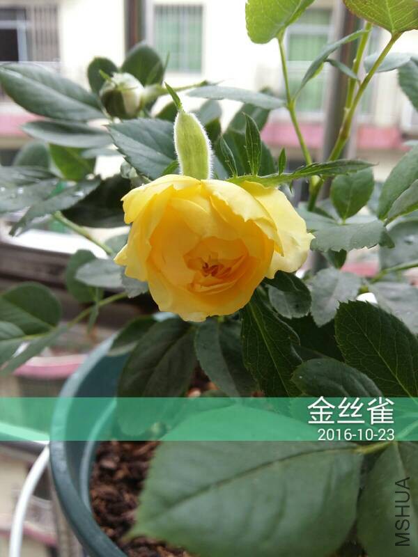 204836eobmvdimimlb58ob.jpg