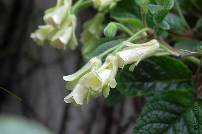 DSC_02230013.JPG