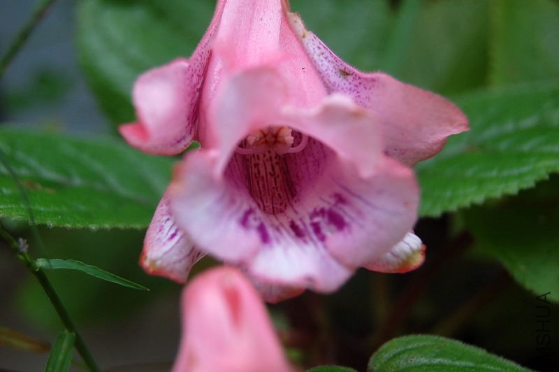 DSC_02310021.JPG