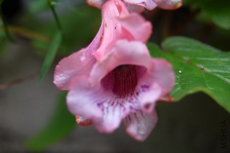 DSC_02300020.JPG
