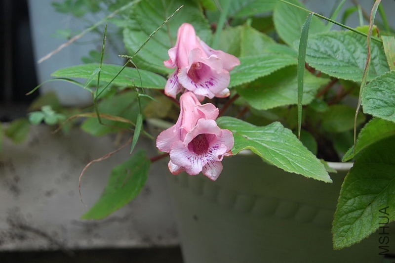 DSC_02280018.JPG