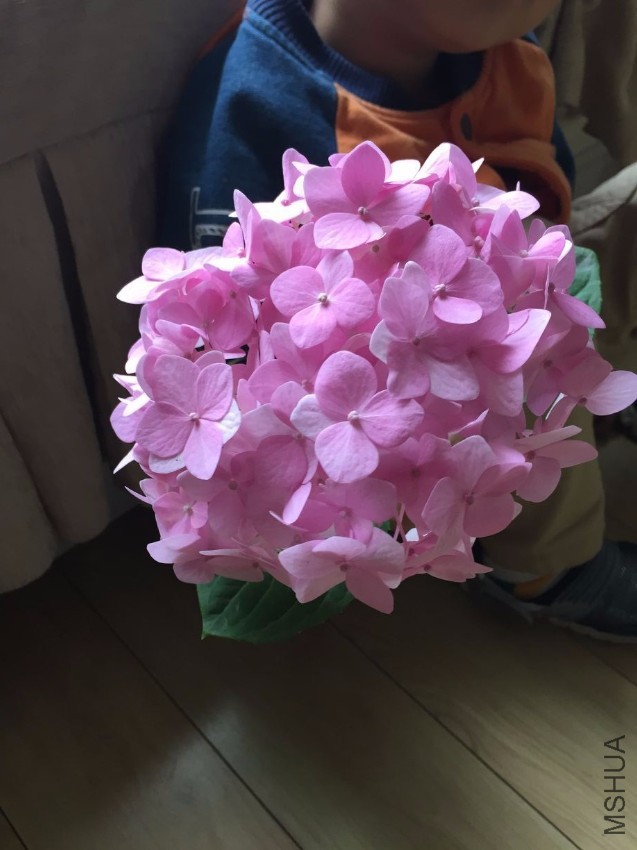QQͼƬ20161024091603.jpg