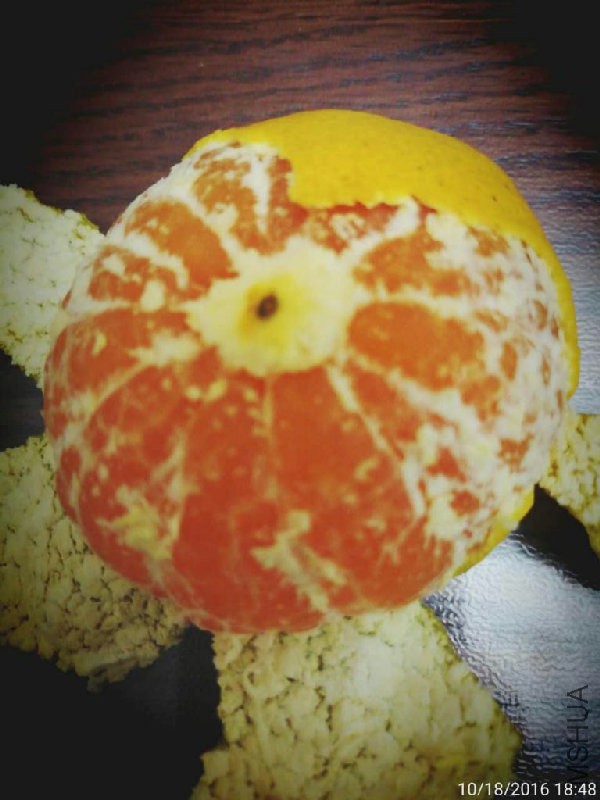 照片1 011.jpg