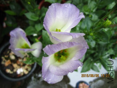 IMG_6289_编辑.jpg