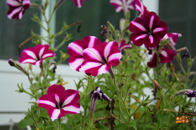 ��Ƭ 044_����.jpg