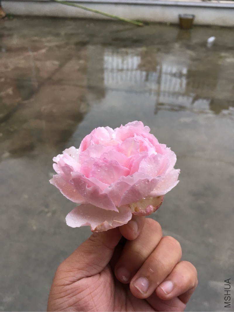 071834gxr20xdr2xo1w22d.jpg
