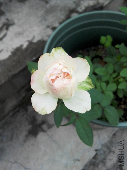 ͼƬ08.jpg