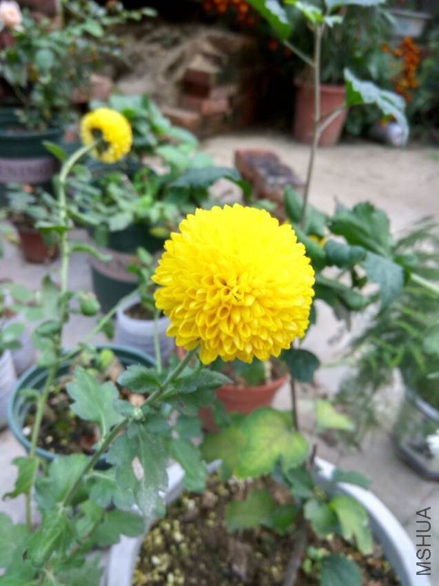 QQͼƬ20161026134327.jpg