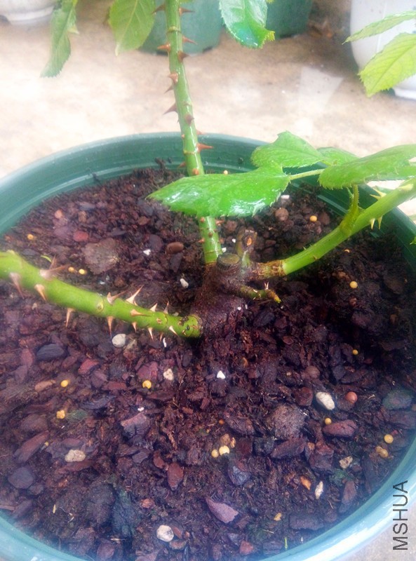 �ؼ�������ʱ�򶼴���������һ���ˣ����˰����ų��������㡣���Ժ����ؼ���