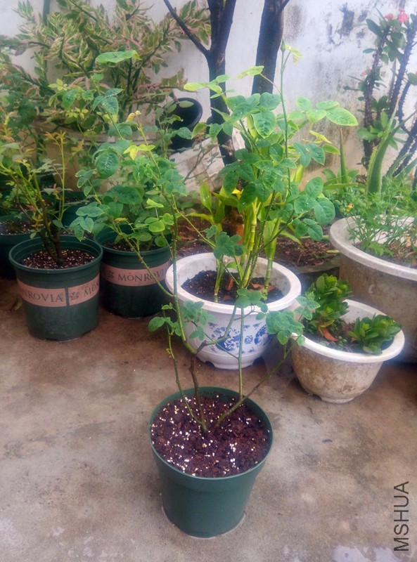 ����3�ž���Ż��ˣ�