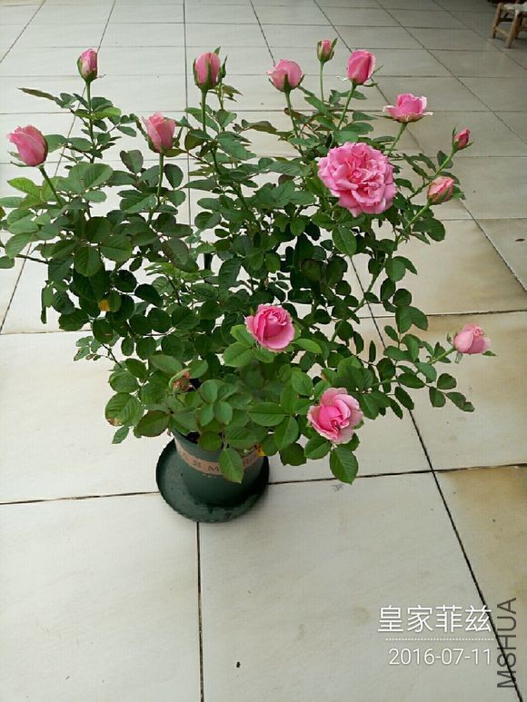 9ea4c530e924b8993130a1e166061d950b7bf67d.jpg