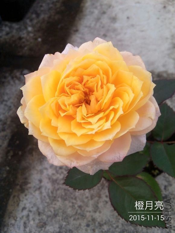 8d5b453df8dcd100852520f87a8b4710bb122fcf.jpg