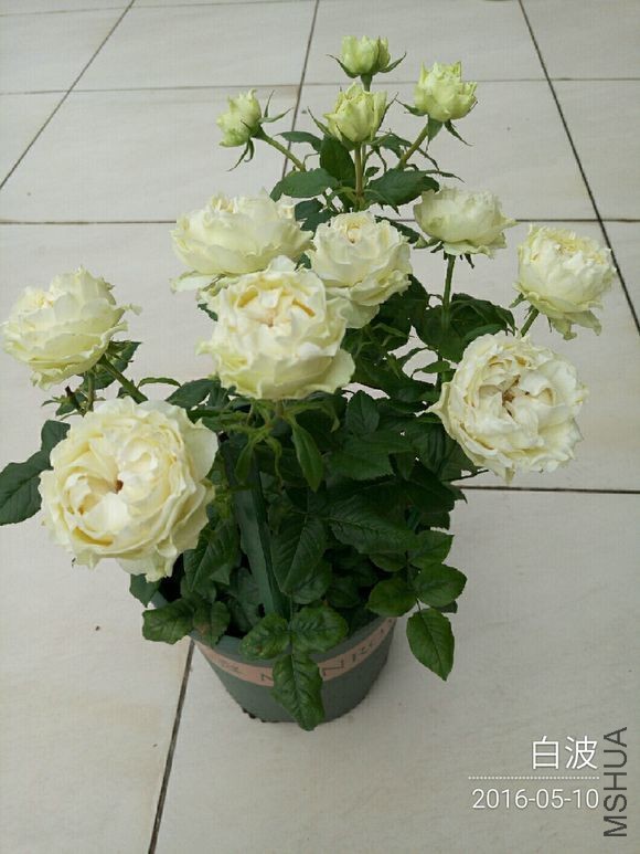 66db7a003af33a87566e2dc8ce5c10385143b5c0.jpg