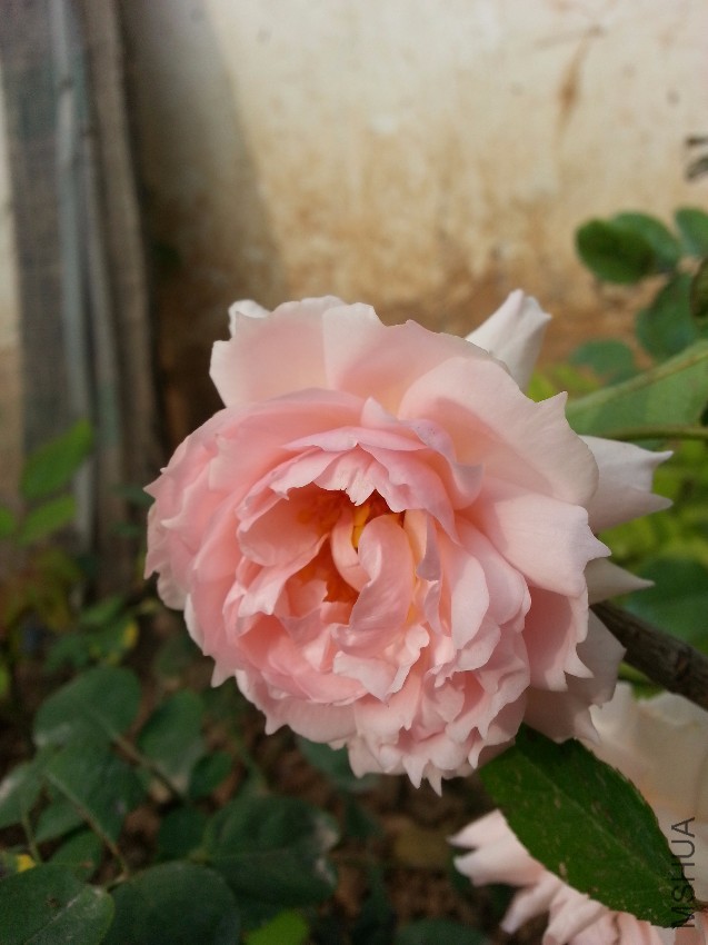 20161019_091924.jpg