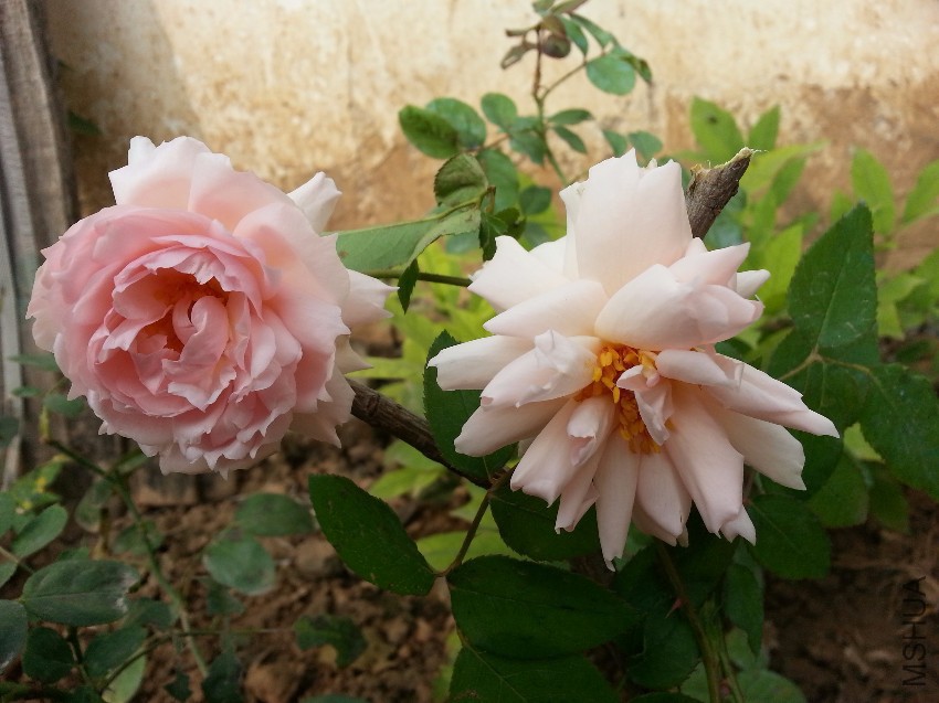 20161019_092042.jpg