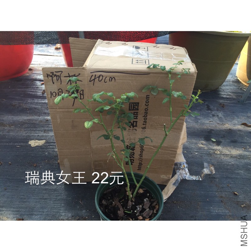 191149zsjgsldgge0j574n.jpg