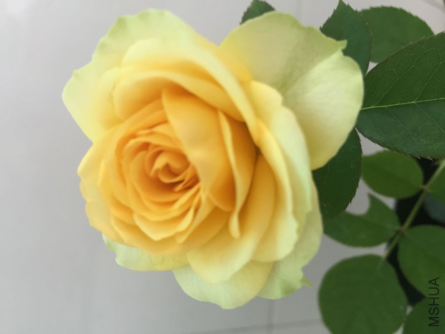 5608EDAC4B48671FB0CC3B09C8F40AF5.png
