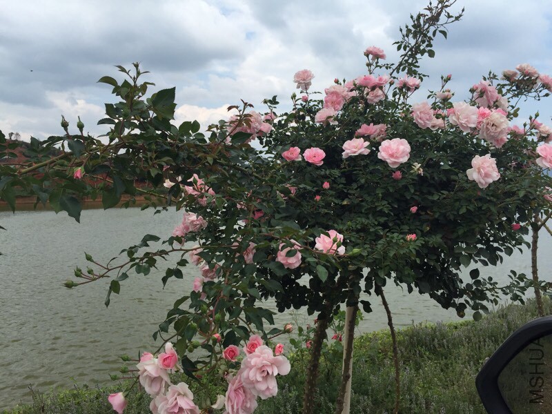 140634qo9ccui9g9ugcl8x.jpg